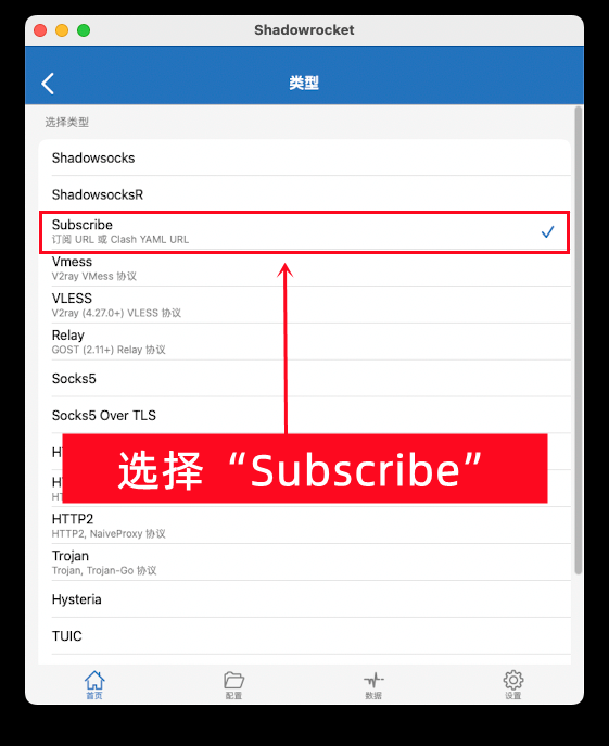 选择 Subscribe 类型