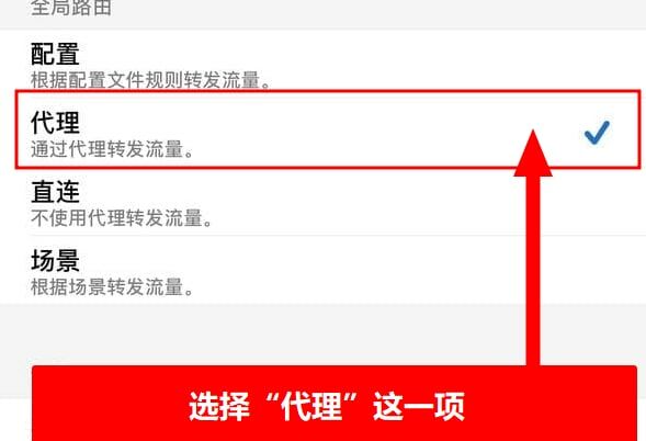 选择 Shadowrocket 路由模式