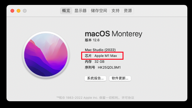 在关于本机中确认 Mac 芯片类型